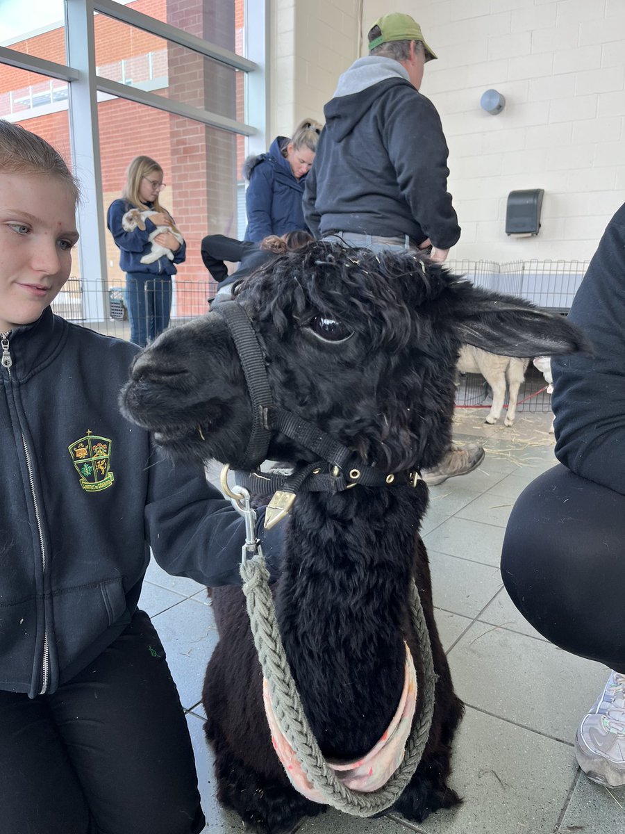 Bishop Ryan CSS tweet media