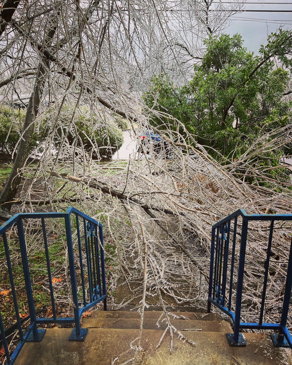 taraMaustin's tweet photo. Trees falling.
No power.
#icestorm #trappedinside #austinweather https://t.co/1abwrheMLe