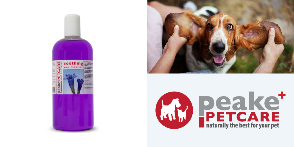 quistel dog ear drops