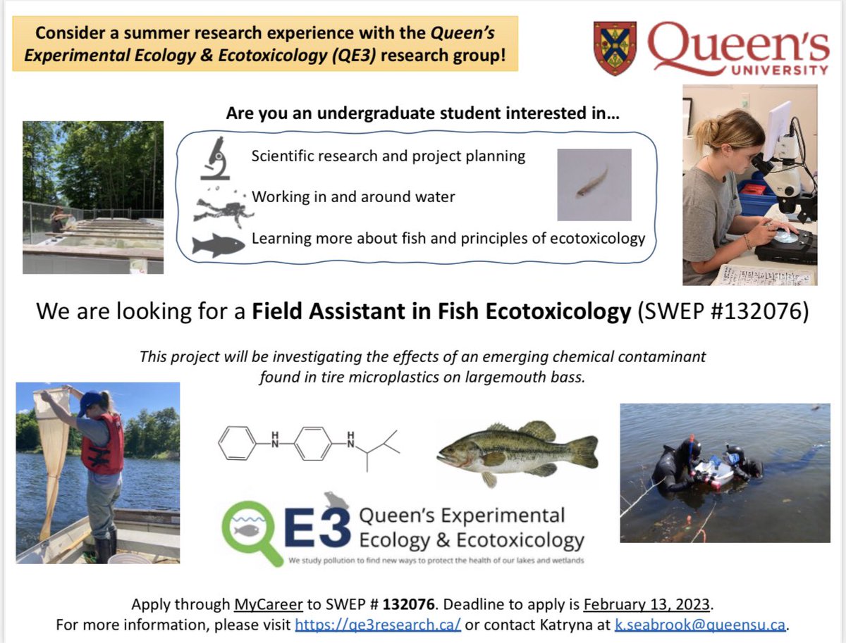 Calling all <a href="/queensu/">Queen's University</a> students! Apply to join the <a href="/QE3_Research/">QE3 Research</a> team and assist in a #fish #ecotoxicology experiment at the <a href="/QUBioStation/">QUBS</a>. Apply by Feb 13 🐟
<a href="/QueensENVS/">Queen's Environmental Studies</a> <a href="/QueensUBio/">Queen's Biology</a>