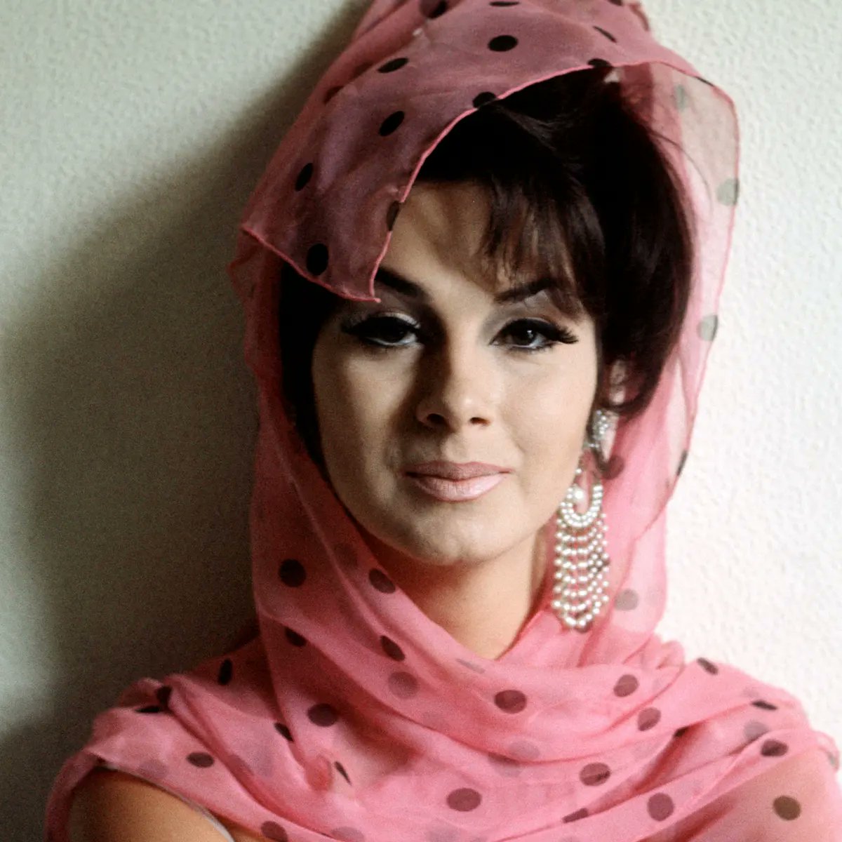 queerguru tweet media