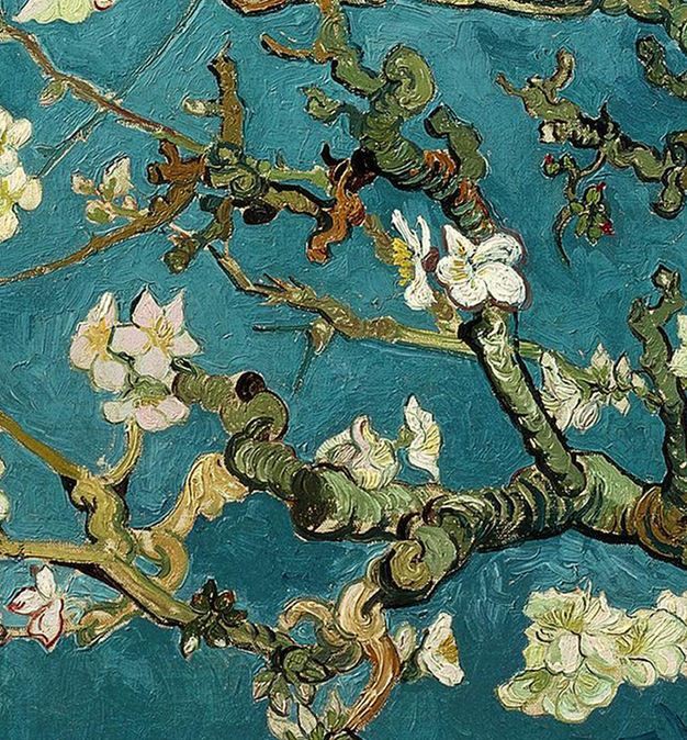 laura franch tweet media