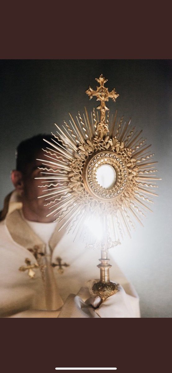 ingenieria sn tweet media