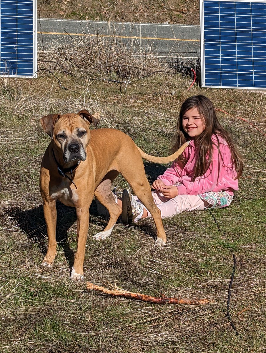 RealPhilipLee's tweet photo. Off grid gals 😊 ❤️ 🐶
#StrongAs10Dogs https://t.co/5beeKhi7iC