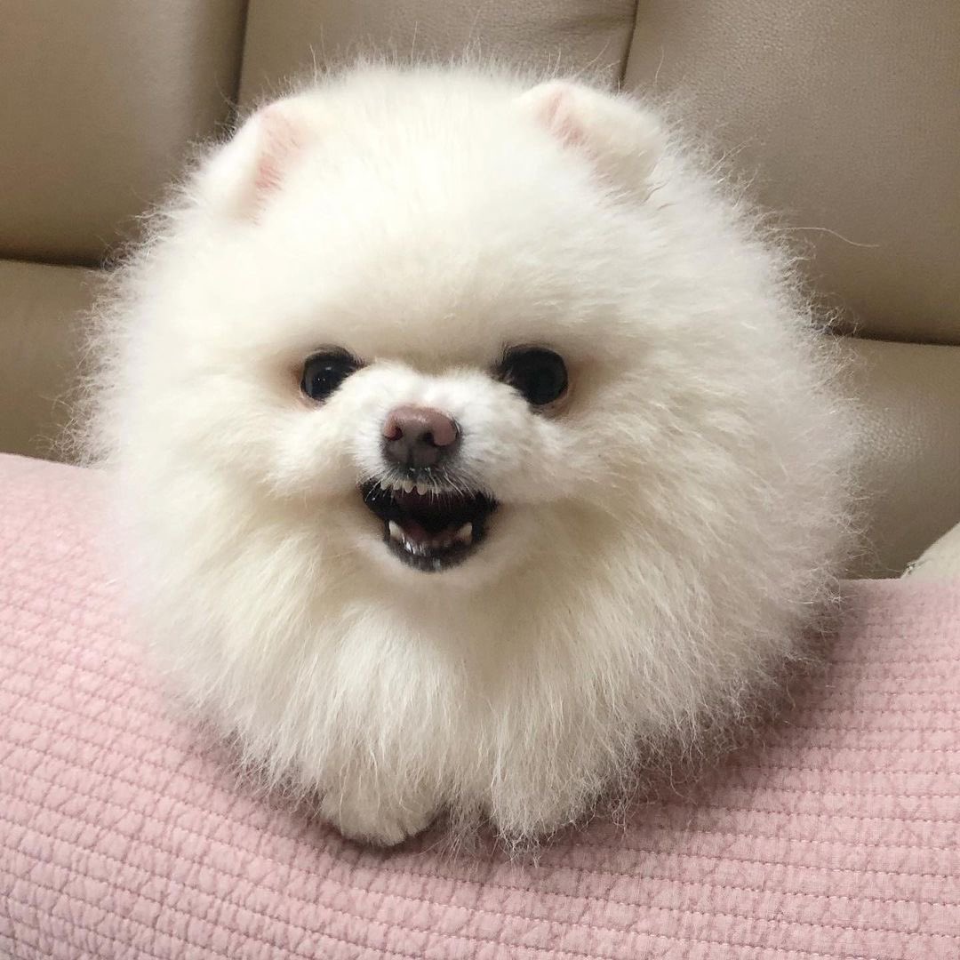 Phenzix 🐦🔥 tweet media