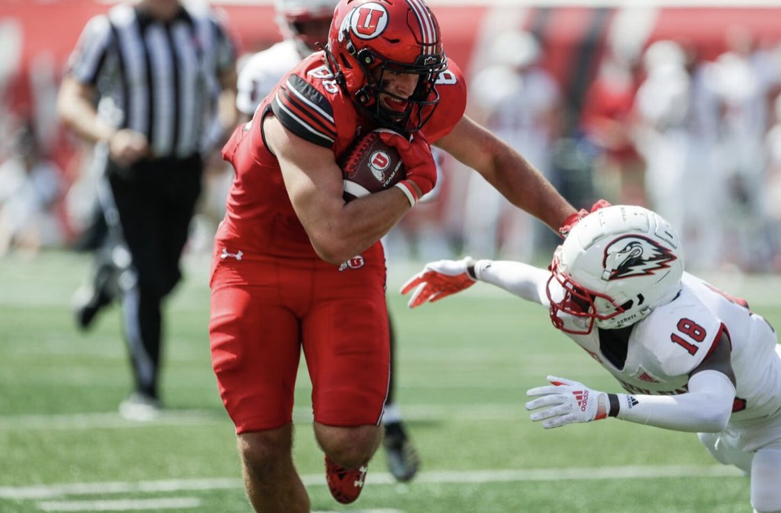 Tochi Nnoruka tweet media