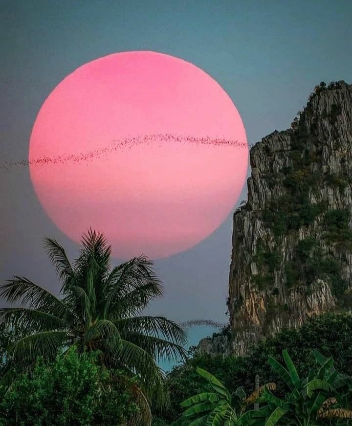 popnakhonsawan's tweet photo. #Cloudless sky
#Evening time for Thailand
#sweetdreams myfriends😴😪 https://t.co/fKr17D37C2