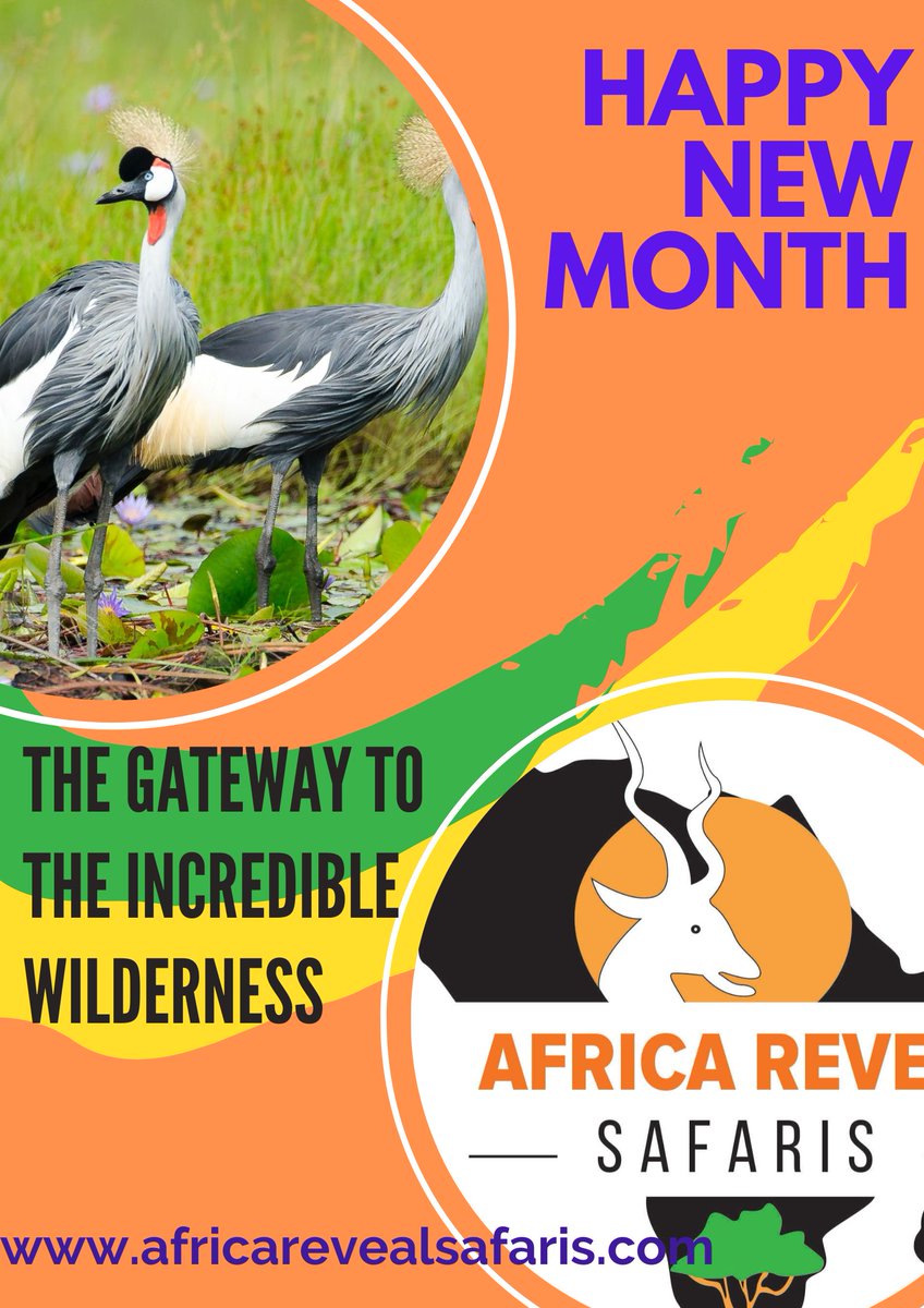 During your Uganda safari, Africa Reveal will take you to one of the most magical places in East Africa . This national parks that are known for abundant wildlife, lush vegetation and many more.

#wildlifeconservation #tourlife #luxurytraveler #wildlife #vegantravel #travelblog