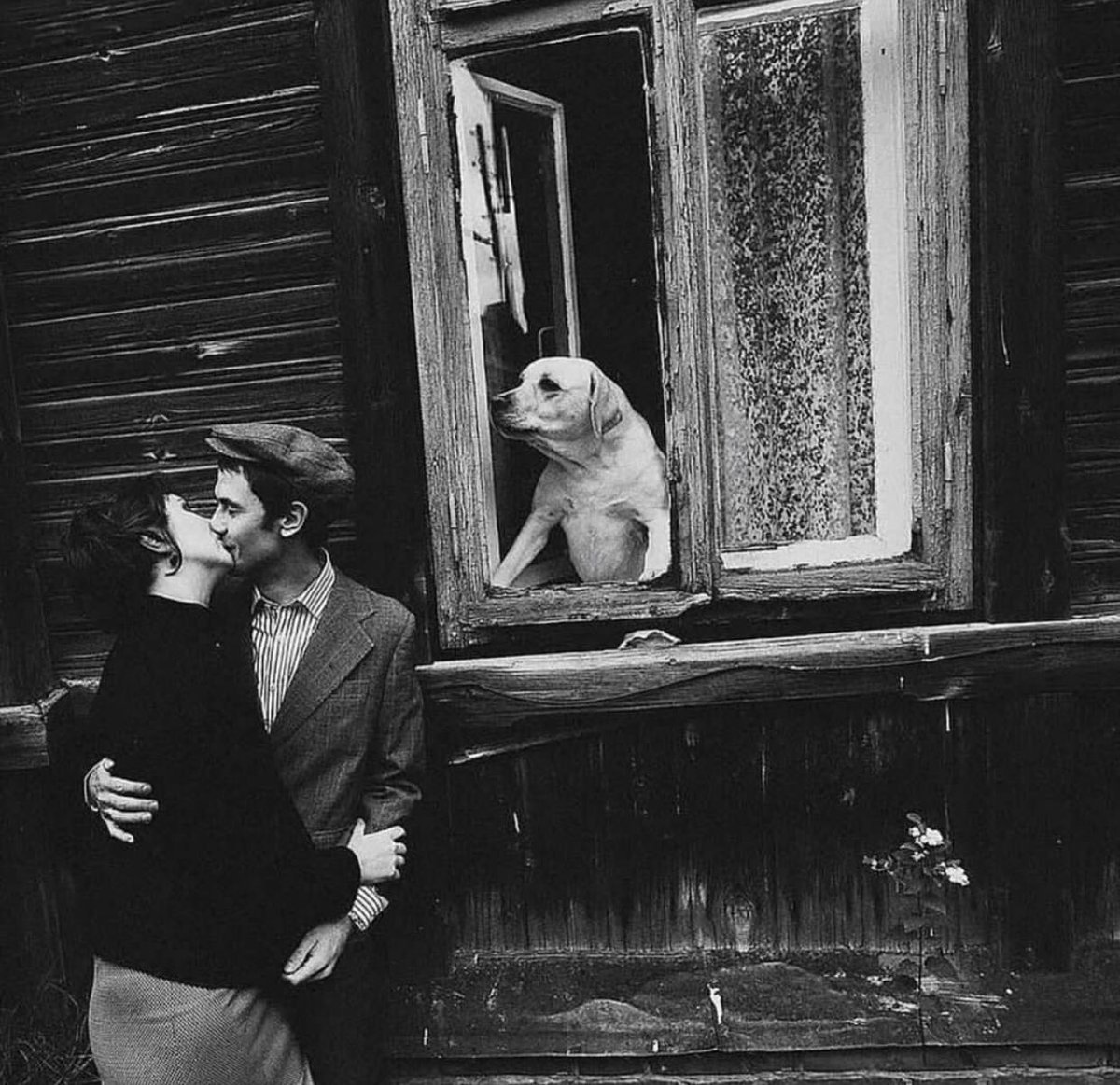 Today’s Feature: Robert Doisneau
Street Photographers Foundation
#RobertDoisneau #streetphotographers
