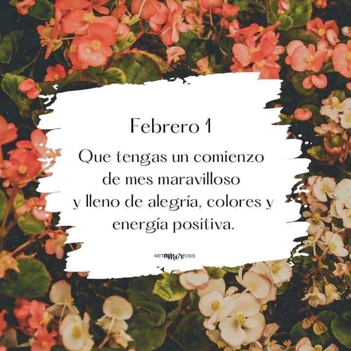 #Febrero2023 #iniciodemes Primer día de mes ‼️ les deseo que febrero sea un mes lleno de muchas bendiciones 🙏 🌺 🥰 💚