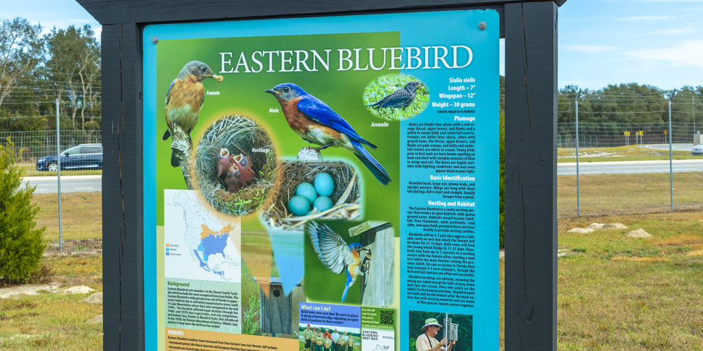 WekivaPKWYinfo's tweet image. The Wekiva River Basin is home to more than 130 bird species. #FloridaStateParks such as Wekiva Springs State Park are a great place to spot wildlife in their natural habitats. #FLWildlife #Floridabirds