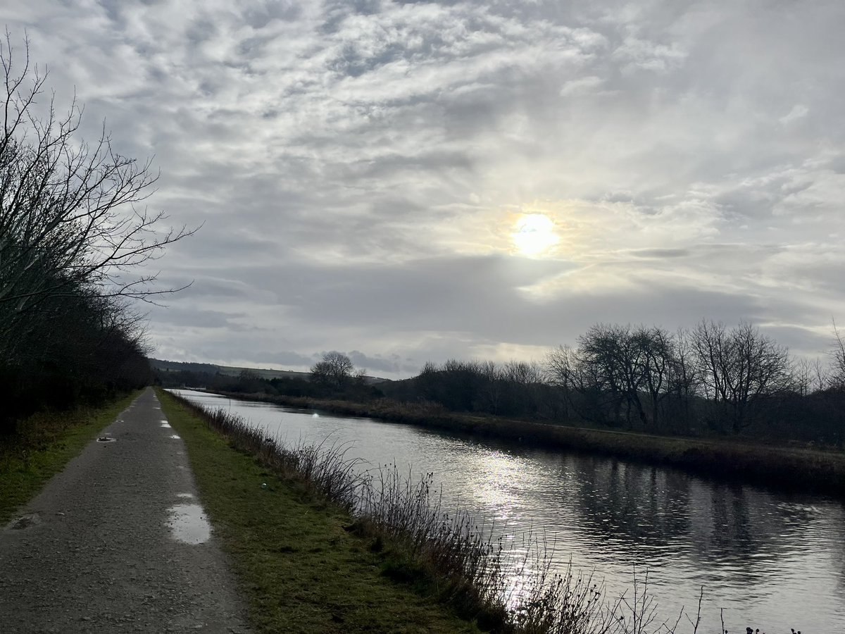 Jasmine Brown tweet media