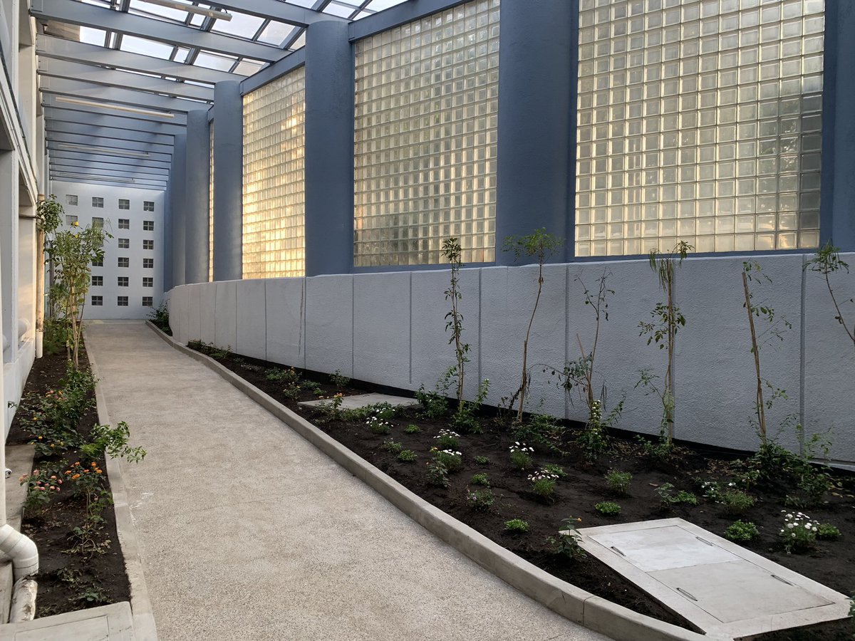 ¿Ya viste cómo quedó nuestro túnel 1? 😱
El día de hoy lo abrimos, esperando que a todos los pasajeros les agrade; cuidemos lo que es nuestro #Tapo 🫶🏻