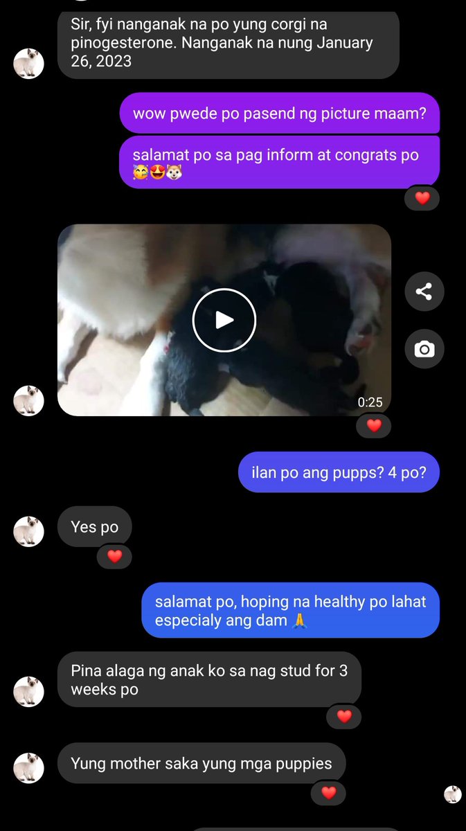 Another successful progesterone test result 💉👉👌
Thank you for choosing our service maam Marish Pedrano 🙏❤️
Congrats po sa 4 puppies 🐶🐶🐶🐶

#avinleeprogesteronehomeservice #satisfiedclient #successfultest #welcomeallbreed #corgi #corgipuppies #corgilife #corgiworld