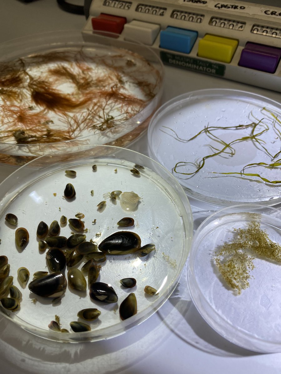 Fraser Brough tweet media