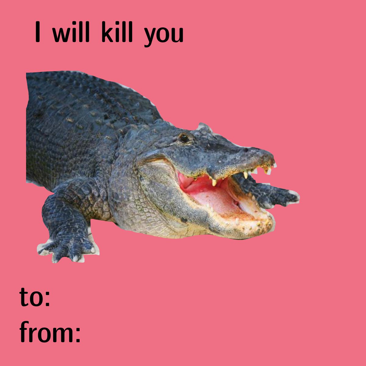 GatorsDaily's tweet photo. ITS FEBRUARY!! SEND IT TO A FRIEND!! OR AN ENEMY!! https://t.co/g4ULcgJAPI