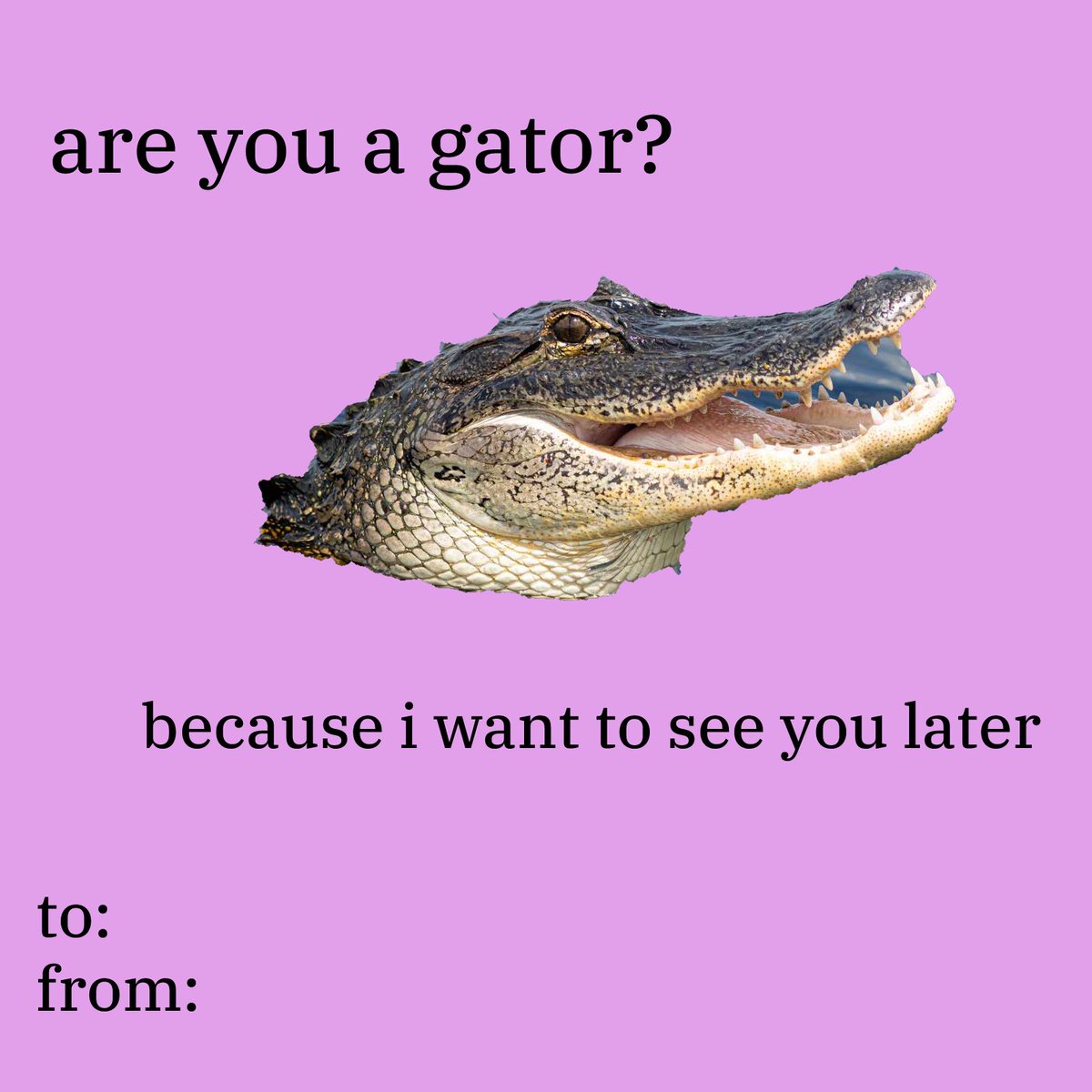 GatorsDaily's tweet photo. ITS FEBRUARY!! SEND IT TO A FRIEND!! OR AN ENEMY!! https://t.co/g4ULcgJAPI