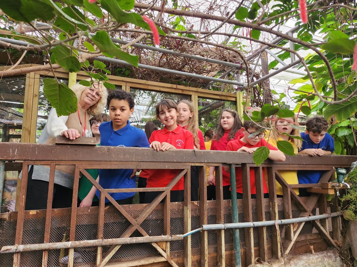 We're on our way back from the living rainforest! We are aiming to be back between 5.15pm and 5.30pm - traffic dependent of course 😁 @KbaPrimary <a href="/mswykes/">Beccy Wykes</a> @MrsFoleyKBA