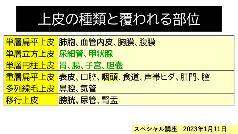 ずっと気になってた ロムニーハウス ウイナーズ下 最新版 歯科医師国家