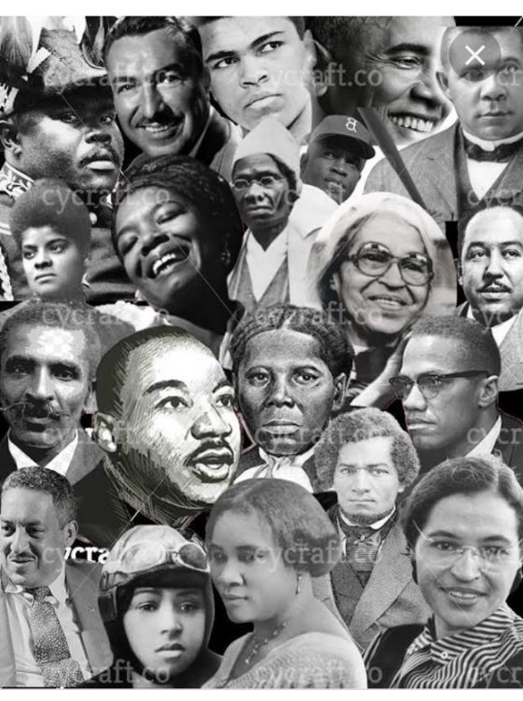 MJNILSEN🌊🇺🇸 tweet media