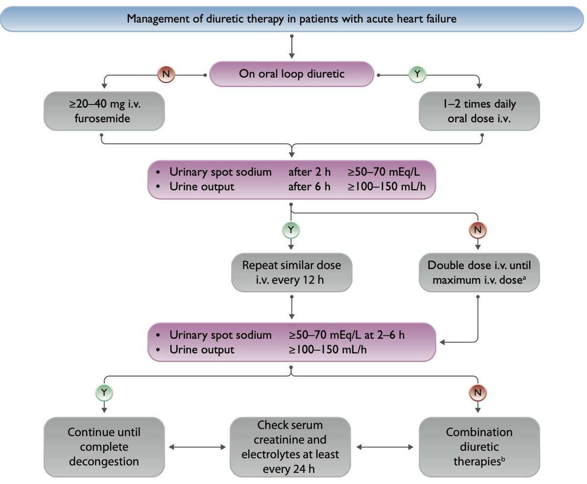 180 mg furosemide + 500 mg acetazolamide IV bolus with natriuresis guided approach thereafter according to academic.oup.com/eurheartj/arti… and #ADVOR (1/2)