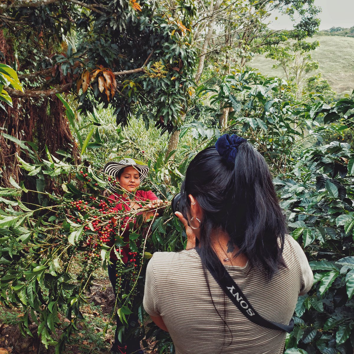 luciabawot's tweet photo. Patricia is one of the 25 women who will be the protagonists of my book #WeBelong: An Anthology of Colombian Women Coffee Farmers. A few weeks ago while chatting with her, we ended up talking about our favorite music. Patricia told me that she loves vallenato. #womenincoffee https://t.co/UKr0LPJv8R