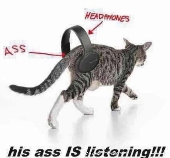 aespatica's tweet image. YEAH YEAH