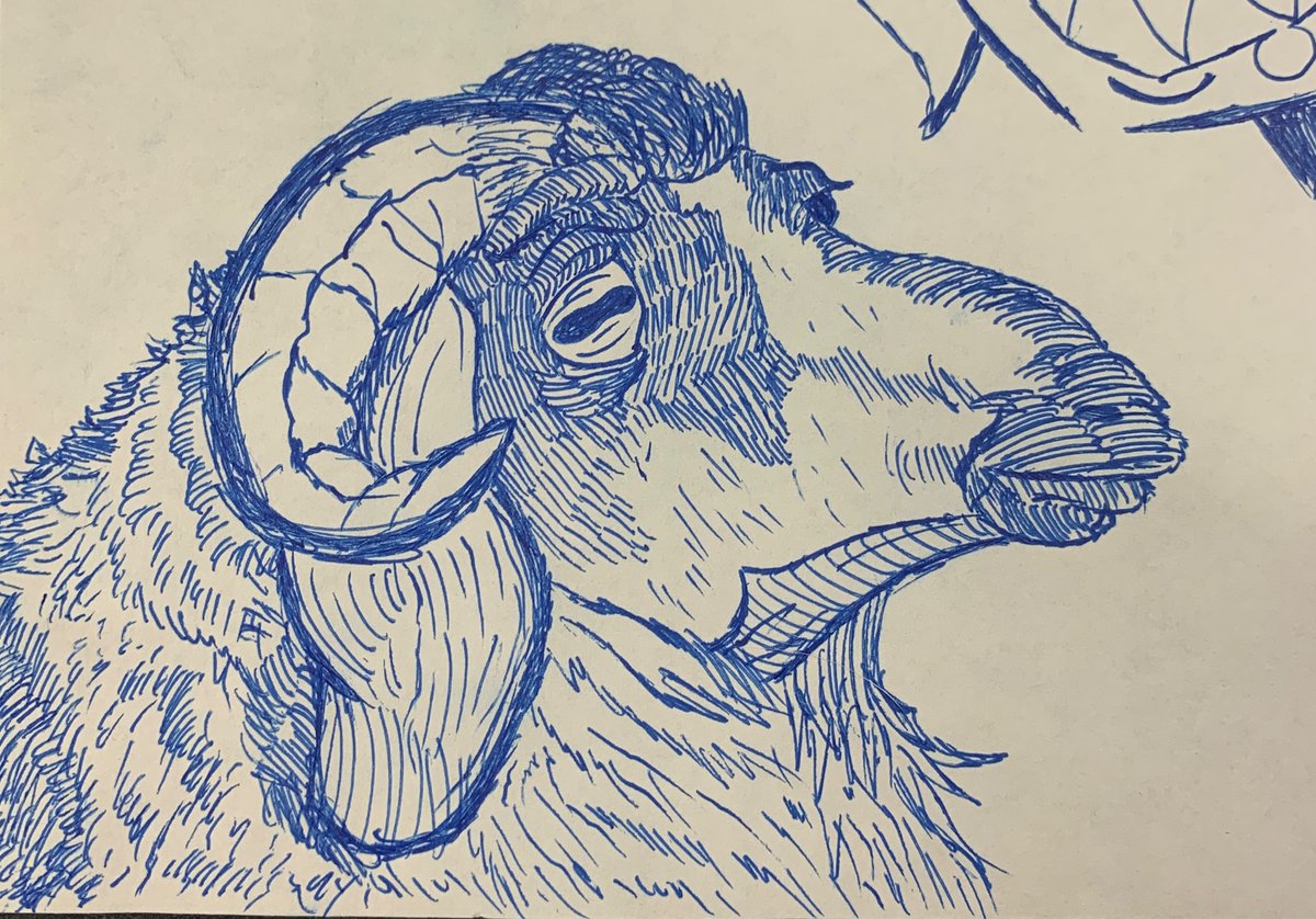 StuidoTrue's tweet photo. Animals https://t.co/5Aub56nPxG