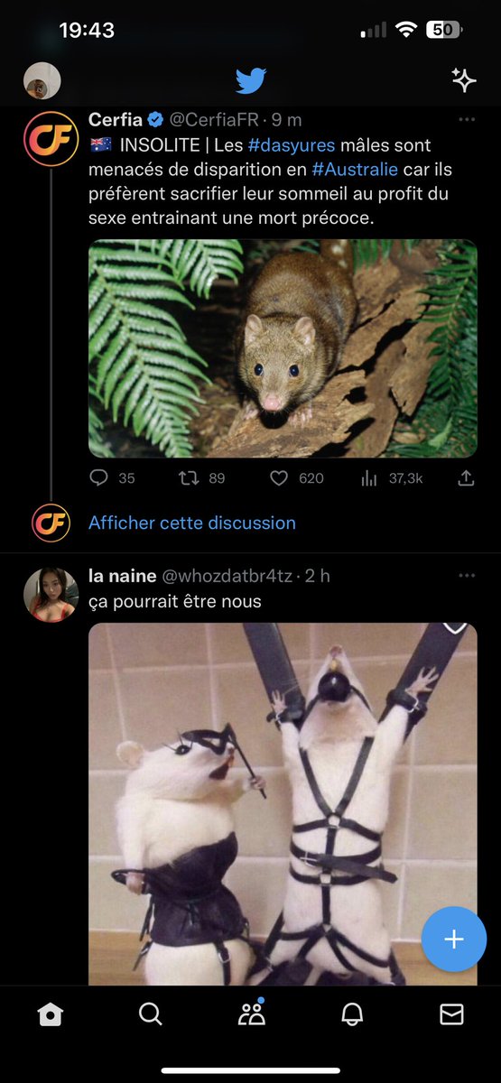 K 🇷🇪 tweet media