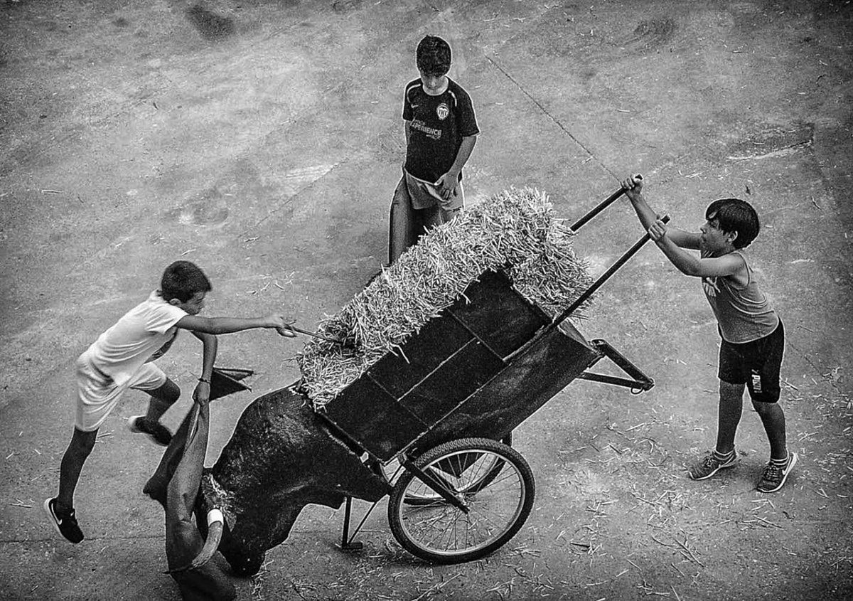 La entrega,constancia y educacion desde pequeño es la base para que los sueños se cumplan y se hagan realidad,en el Toreo y en la Vida "NADIE REGALA NADA".En ésta preciosa Fotografía con mis compañeros Bruno Gimeno y Raúl Iranzo entrenando en el carretón . 📷<a href="/tauroimagen/">TauroimagenPlus</a>