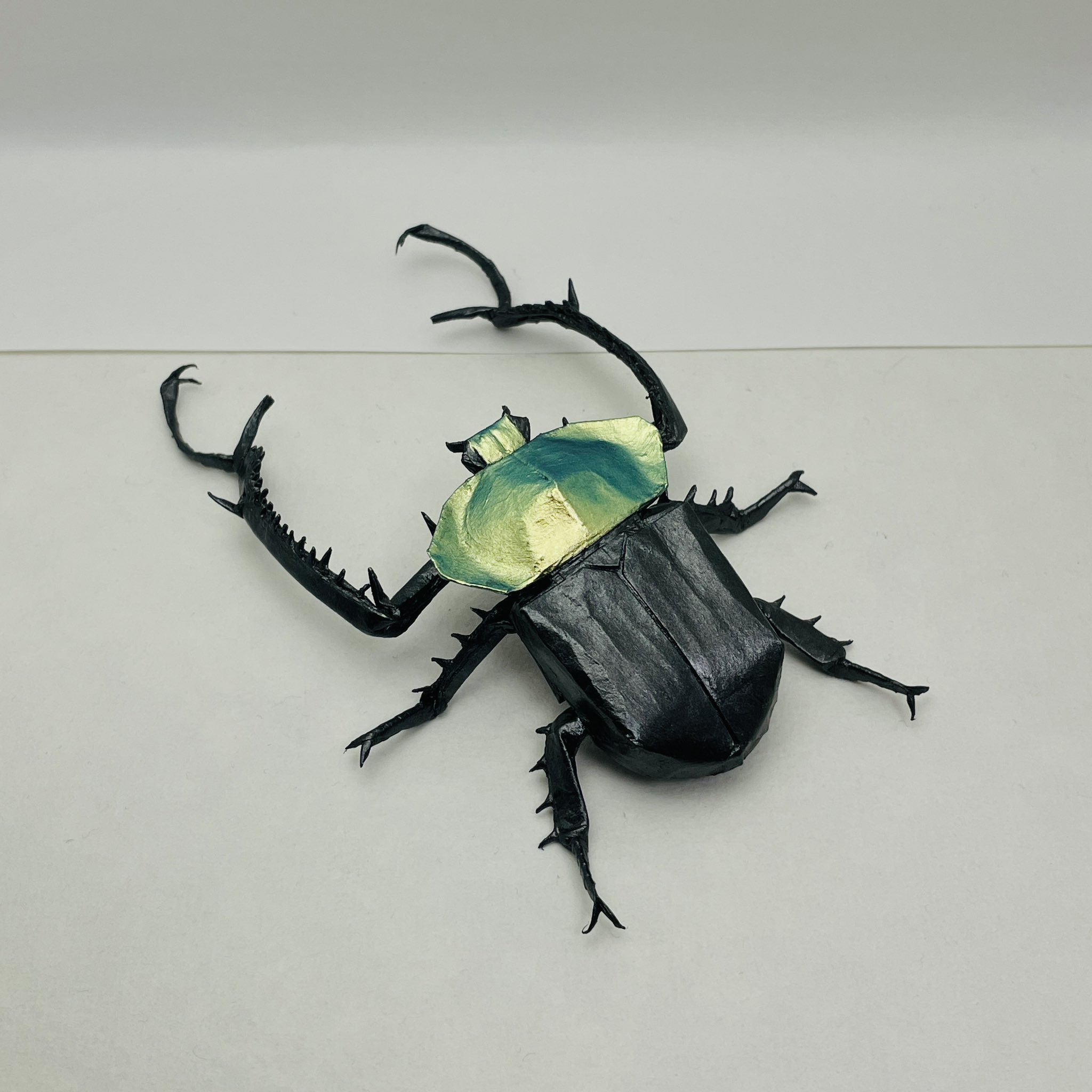 ヤンソニーテナガコガネ　68mm ヤンソニーテナガコガネ 68mm | カブトムシ