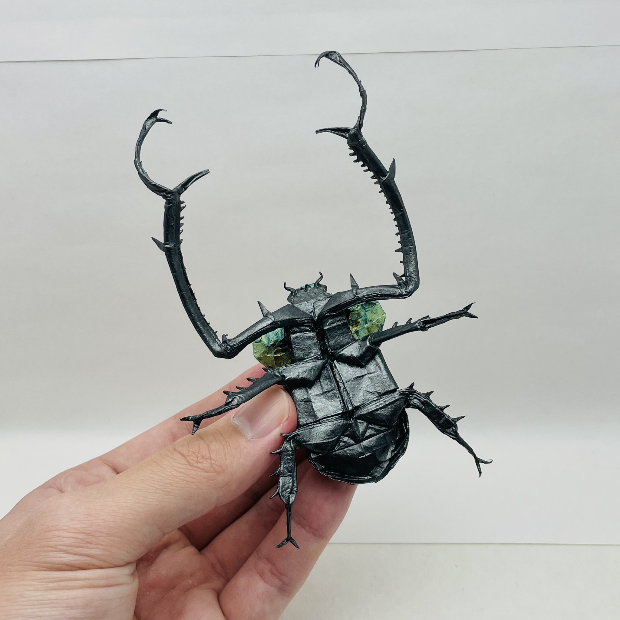 ヤンソニーテナガコガネ　68mm ヤンソニーテナガコガネ 68mm | カブトムシ