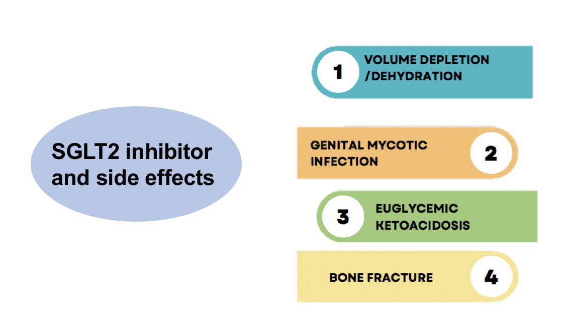 PharmaConnect on Twitter "🔹Side Effects •Urinary tract infection