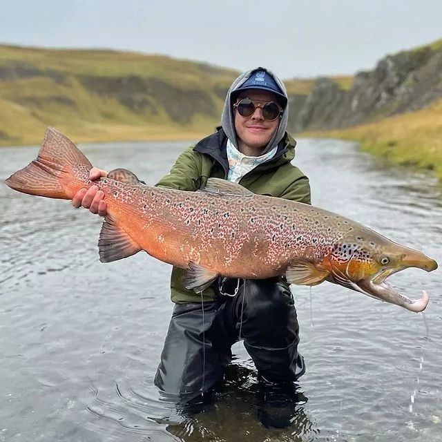 Riva_k86's tweet photo. Rate the catch!
#fishing #fishinglife #FishingGirls https://t.co/UAxmGnYiNS