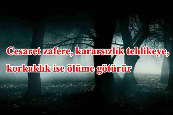 Azer_Kurtuluş tweet media