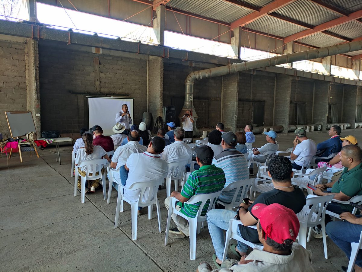FAOBrasilCoop's tweet photo. Los días de campo fueron acciones clave del proyecto +Algodón Colombia, contribuyendo a la formulación e implementación del plan de manejo agronómico y para el seguimiento de las Unidades de Cultivo Piloto (UCPs) y de los pilotos de Seguridad Alimentaria y Nutricional (SAN). https://t.co/SxyVNvCc99
