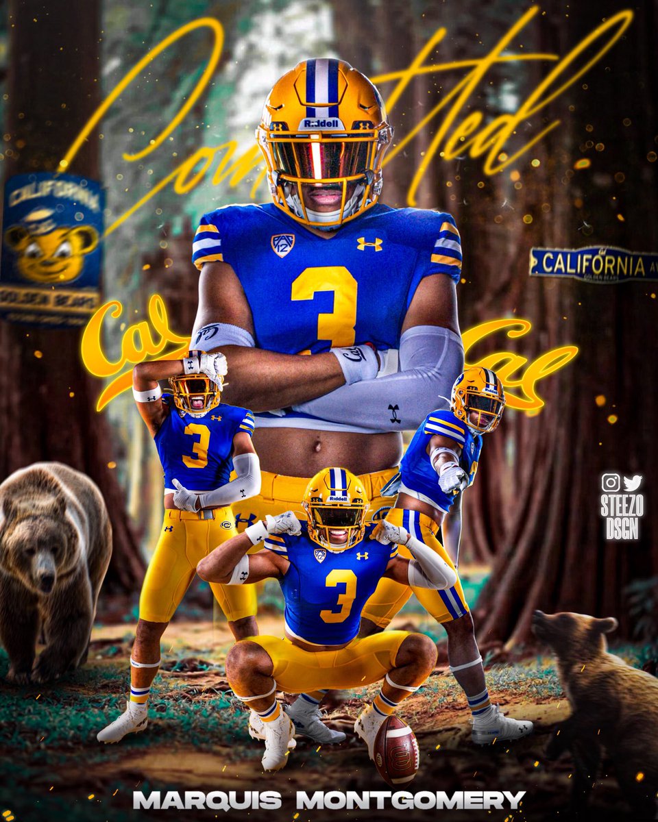 What’s there left to say.
COMMITTED!!!!🟡🔵🐻