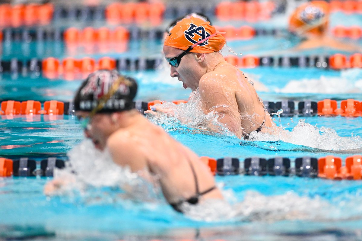 Auburn Swim & Dive on Twitter