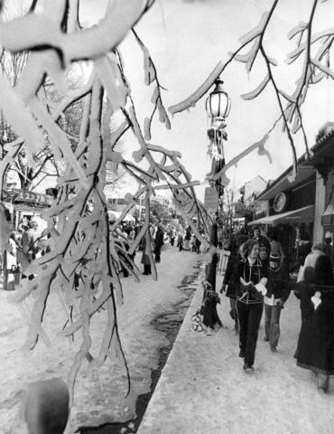 Happy icy Wednesday! If you’re planning a visit to an Overton Square business today, we encourage you to contact them ahead of time to confirm their “snow day” hours. ❄️