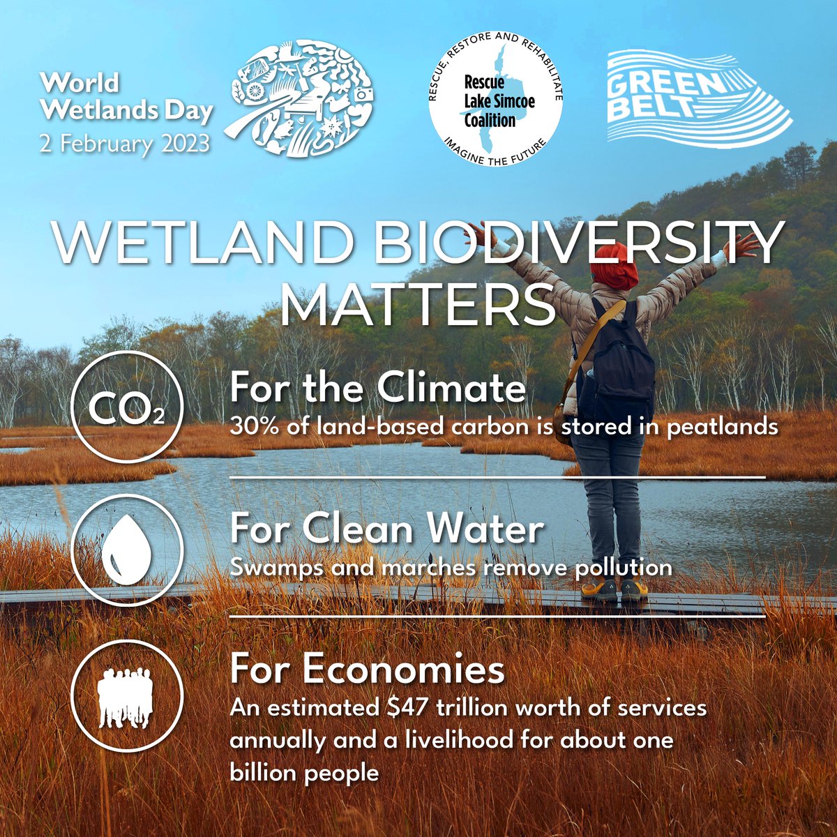 RLSC_Watershed's tweet photo. Excellent summary of the importance of wetlands and one of the many short-sighted and destructive elements of #StopBill23. #bill23 is truly awful. Call your MPP!
https://t.co/pewkNCUYlD...
#Bill23 #fishinglakesimcoe #worldwetlandsday #climate #wetlands #lakesimcoe https://t.co/qZiKJ7hb3n
