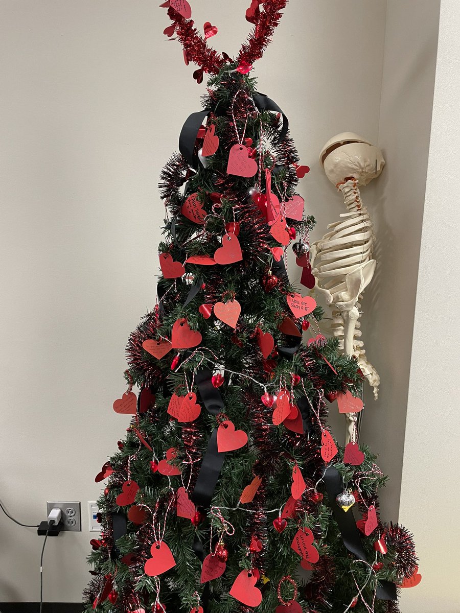 Med term students used their knowledge of cardiovascular terms to create Valentine ornaments for our tree!! They all did a great job