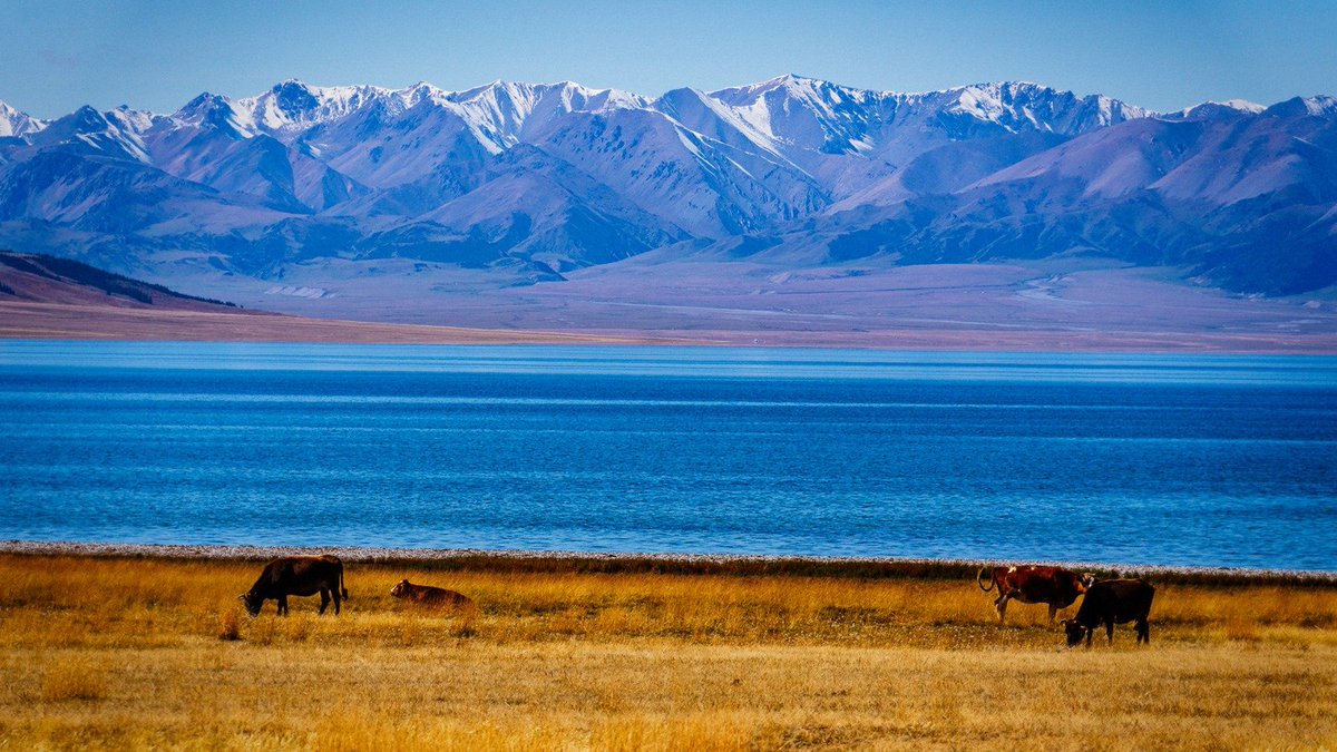 AmbCina's tweet photo. 美丽中国-BEAUTIFUL CHINA

Il Sayram Lake è il lago alpino più grande e situato all'altitudine più alta dello #Xinjiang. Con le sue acque limpide e calme è chiamato dalla gente del posto "l'ultima lacrima dell'Atlantico".

Non sono bellissime queste foto?😍😍 https://t.co/FL9Ivmya62