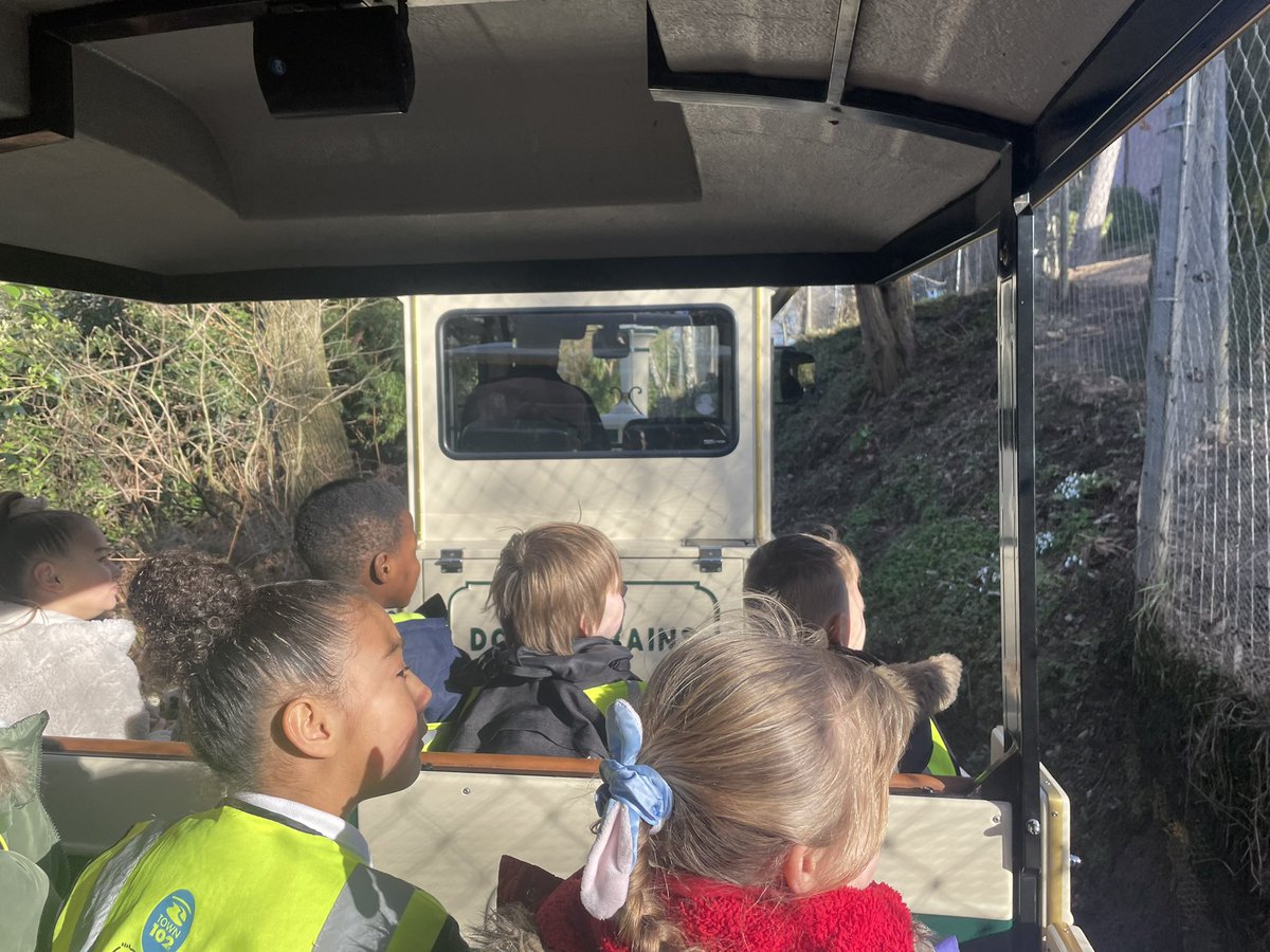 ParrotsBCP's tweet photo. We even got to go on the Madagascar Express! @BeechesCP https://t.co/dGbGCjQceB
