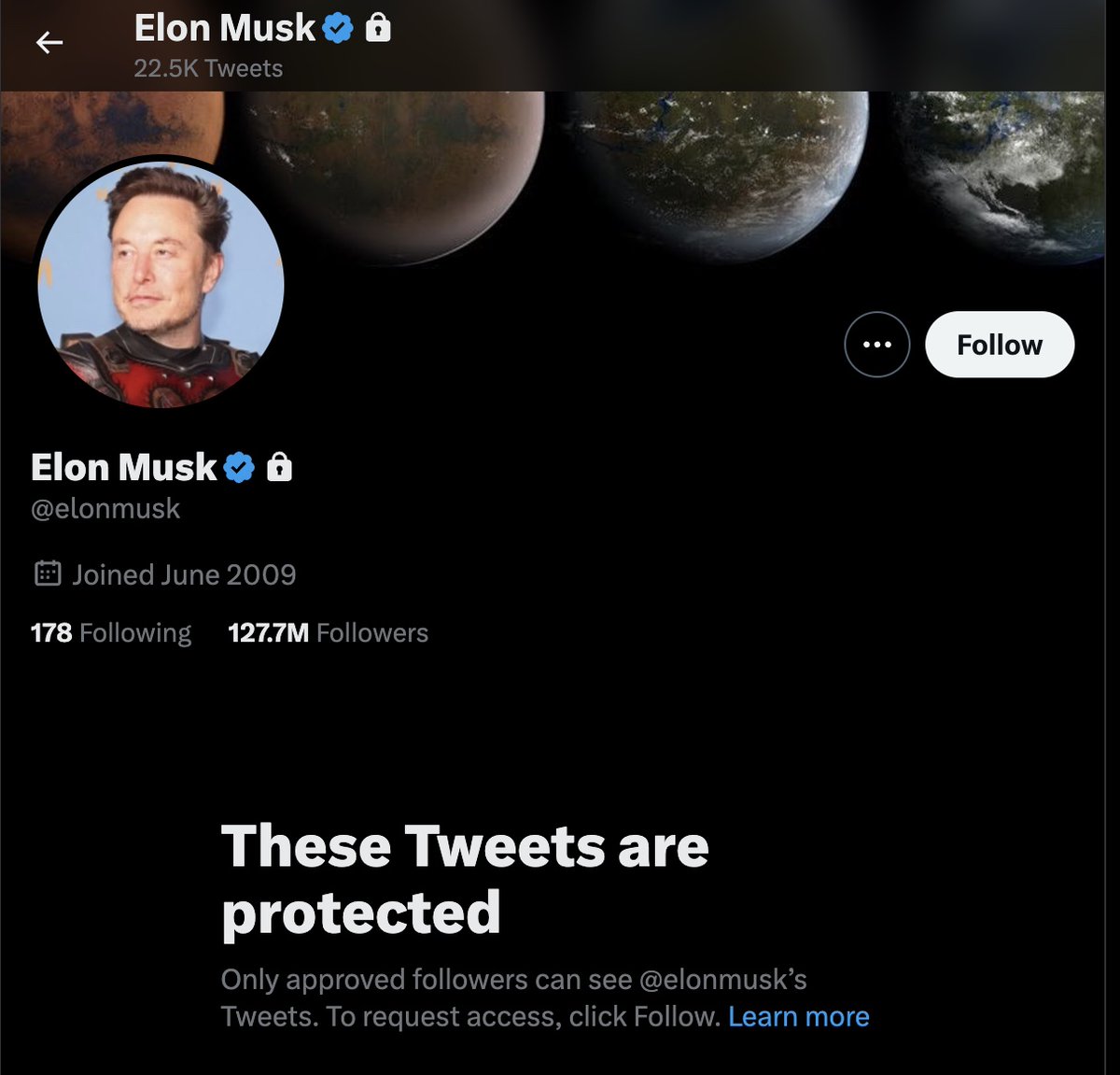 Beta Billionaire <a href="/elonmusk/">Elon Musk</a>