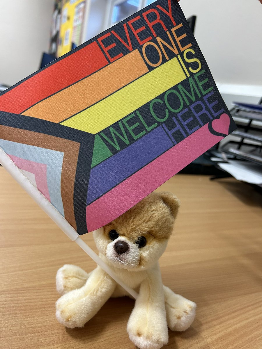 mathswithmandy's tweet photo. 2023 sure is flying in!  February already, and the start of #LGBTHistoryMonth.  Hoping to use this opportunity to reflect, educate and promote inclusion @stphilipsplains #LGBTplusHM https://t.co/QKhUARFI0K