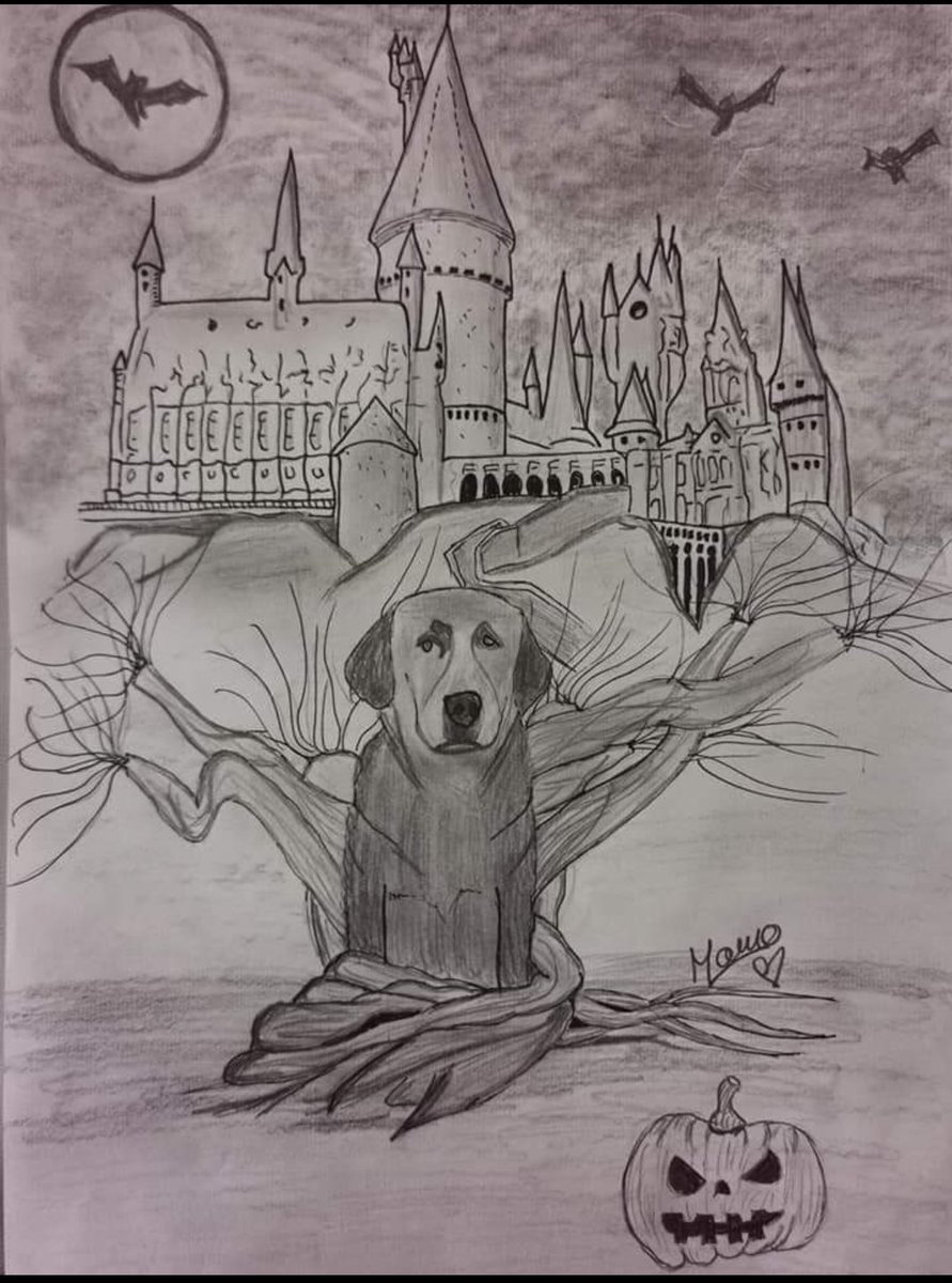 Legacy22_ger's tweet photo. Who doesn't love a Whomping Willow? 
@TomFelton

#willowartwednesday https://t.co/GOSdkm8VMz