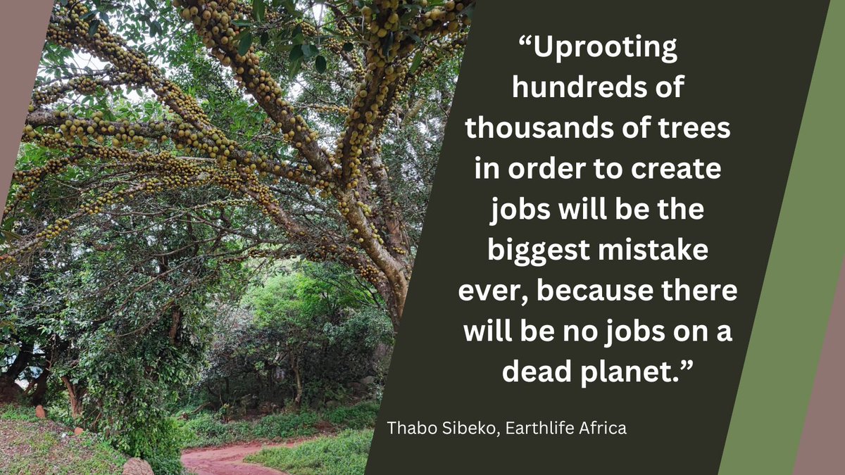 #StopMMSEZ <a href="/LifeAfterCoal/">Life After Coal</a> <a href="/CentreEnvRights/">Centre for Environmental Rights</a> <a href="/ThaboSibeko9/">Thabo Sibeko</a>  <a href="/makomaphil/">Makoma Lekalakala</a> #light4defenders #JustTransition <a href="/MaGatsheniBabra/">MaDingane🌻❤️</a>  <a href="/ClimateZA/">Presidential Climate Commission</a>