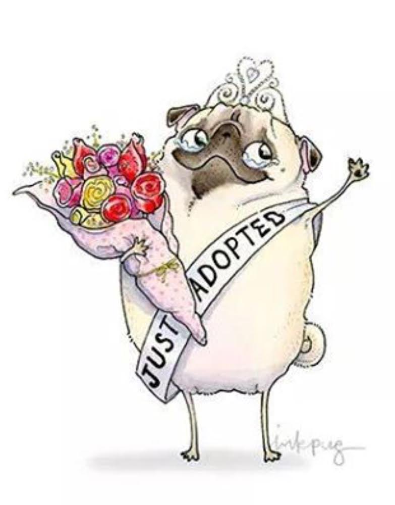 DFWPugRescue tweet picture