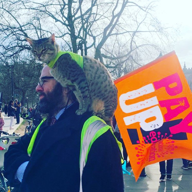 Introducing the picket cat #SaveOurSchools