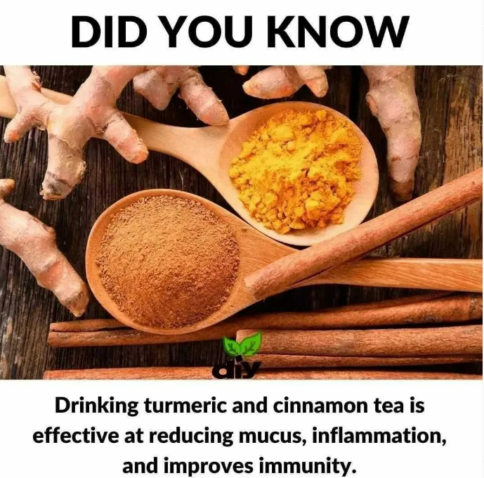 GlobalTekMD's tweet image. Turmeric is anti-inflammatory, antimicrobial, and antioxidant powerhouse. Cinnamon is loaded with antioxidants, Helps Fight Bacterial and Fungal Infections.  Small changes big rewards!  #alternativehealing #tumerictea #health #wellness 
SIGN UP TODAY! globaltekmd.com/signup.php